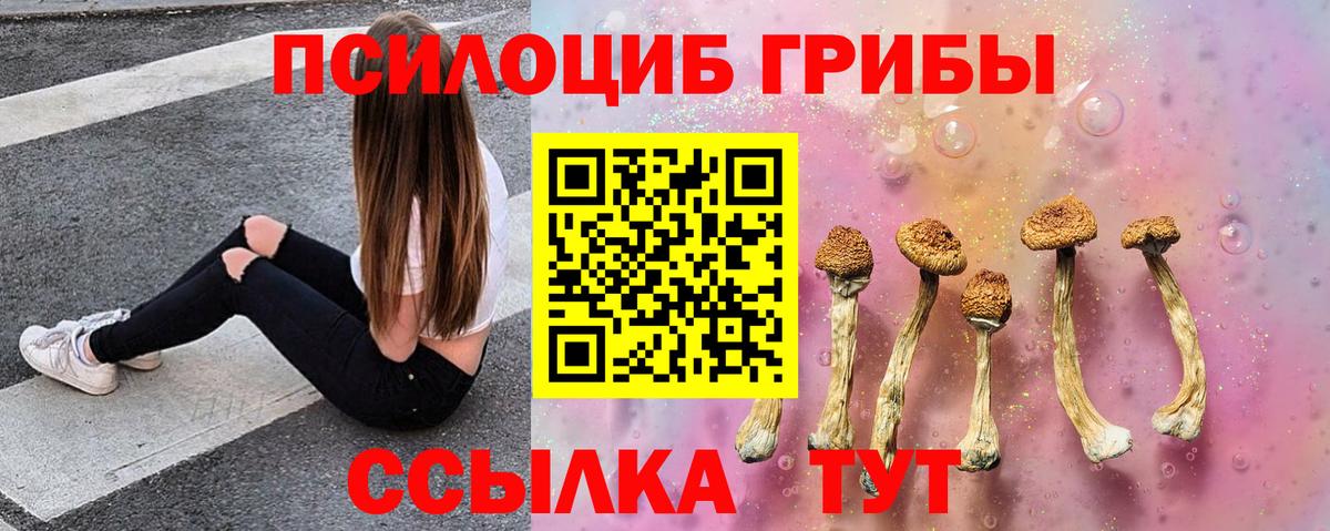 Дальнереченск  Галлюциногенные грибы мицелий  Вход с VPN 